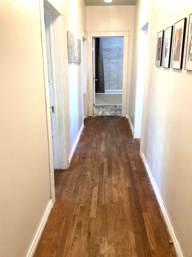 hall featuring dark wood-type flooring