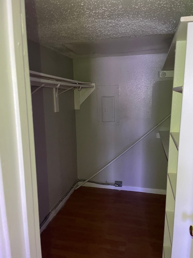 spacious closet featuring electric panel and dark hardwood / wood-style flooring