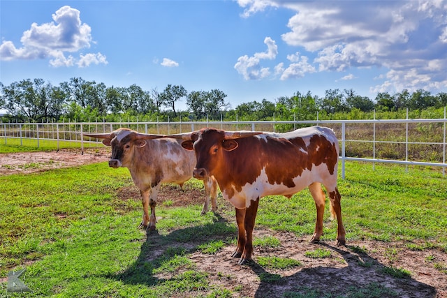 4065 Sharon Rd, Abilene TX, 79606 land for sale