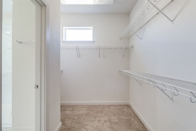 walk in closet featuring light carpet