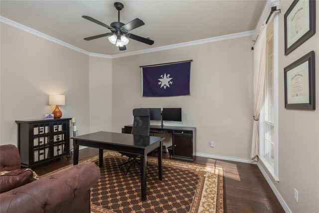 home office with crown molding, ceiling fan, and dark wood-type flooring