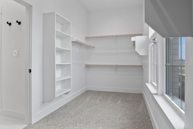 spacious closet featuring light carpet