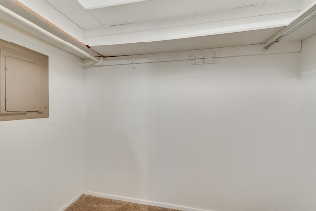 walk in closet with carpet flooring and electric panel