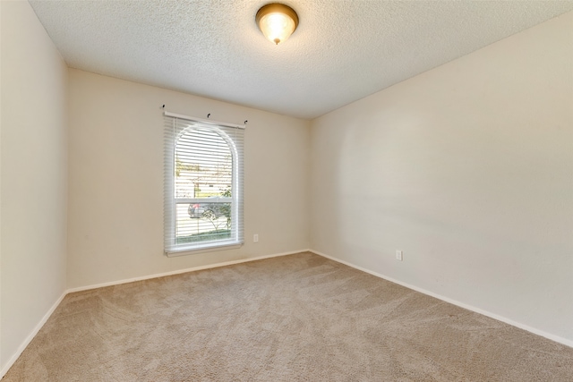 unfurnished room with carpet floors and a textured ceiling