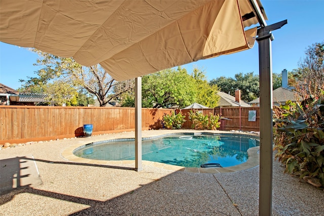 view of pool with a patio area