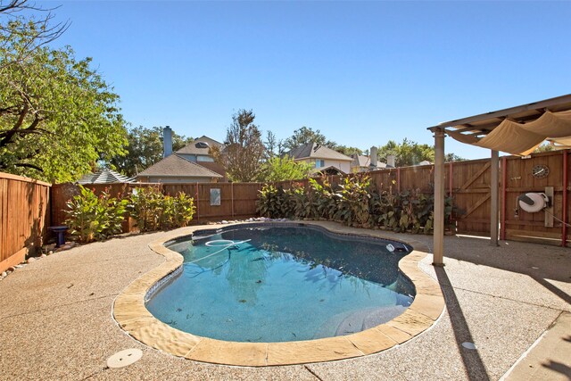 view of pool featuring a patio