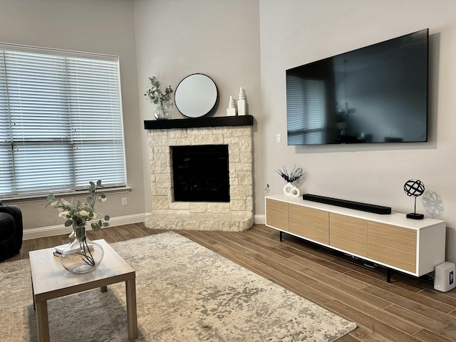 living room featuring hardwood / wood-style floors and a stone fireplace