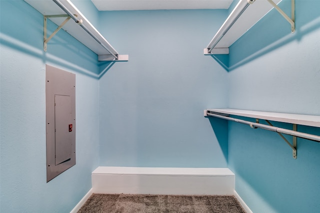 walk in closet with carpet floors and electric panel