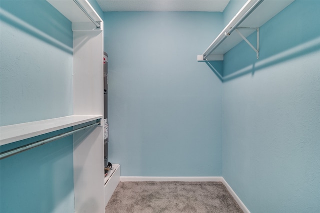 walk in closet featuring light colored carpet