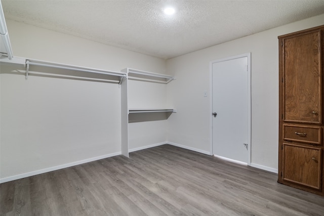 spacious closet with light wood-type flooring