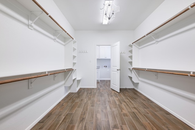 walk in closet featuring dark wood-type flooring and an inviting chandelier