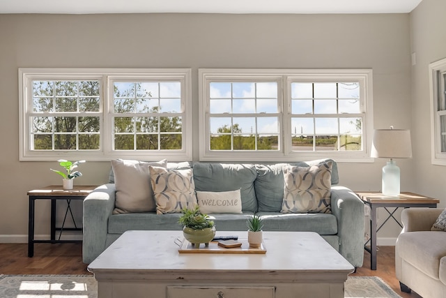 living room with wood-type flooring and a wealth of natural light