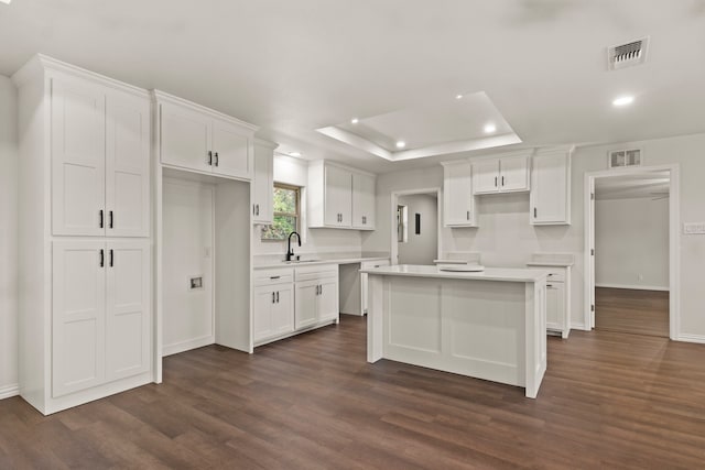 kitchen featuring dark hardwood / wood-style flooring, white cabinetry, and a kitchen island