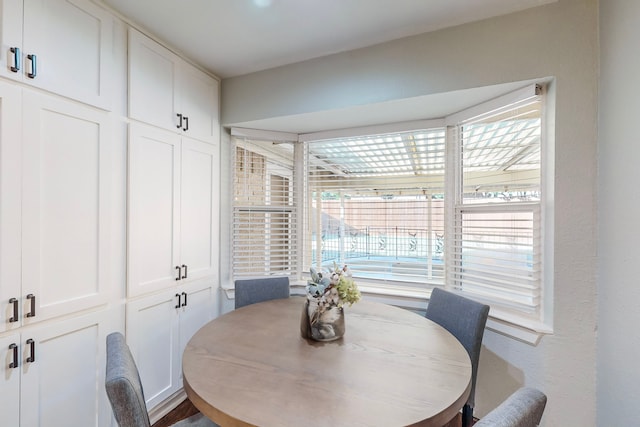 dining room featuring a wealth of natural light