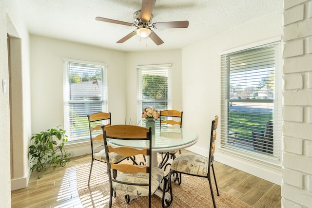 dining space with ceiling fan, a textured ceiling, and light wood-type flooring