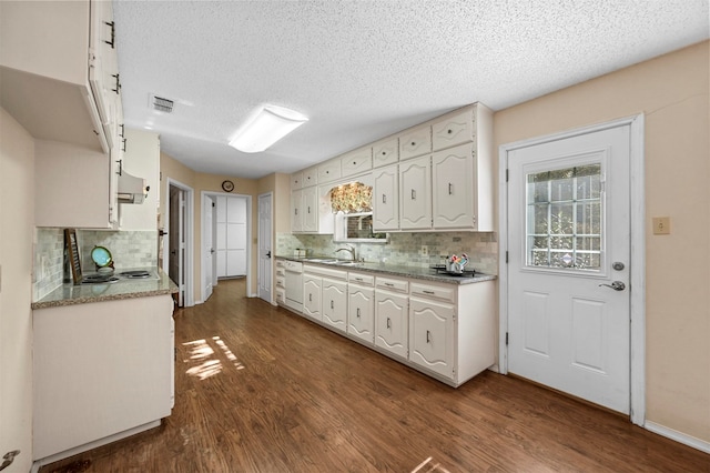 kitchen with white cabinetry, sink, dark wood-type flooring, tasteful backsplash, and a textured ceiling