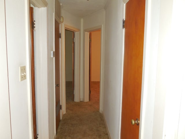 corridor featuring carpet flooring