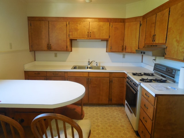 kitchen featuring sink and gas range gas stove