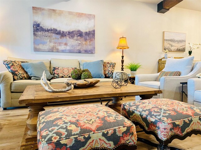 living room with light hardwood / wood-style flooring