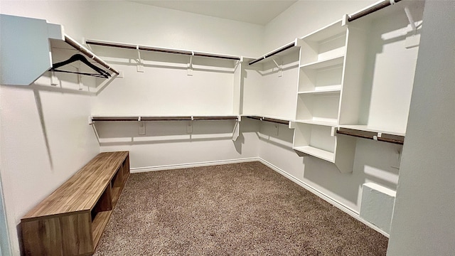 spacious closet with dark carpet