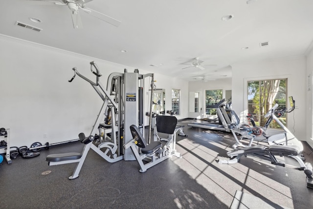 gym featuring ceiling fan and ornamental molding