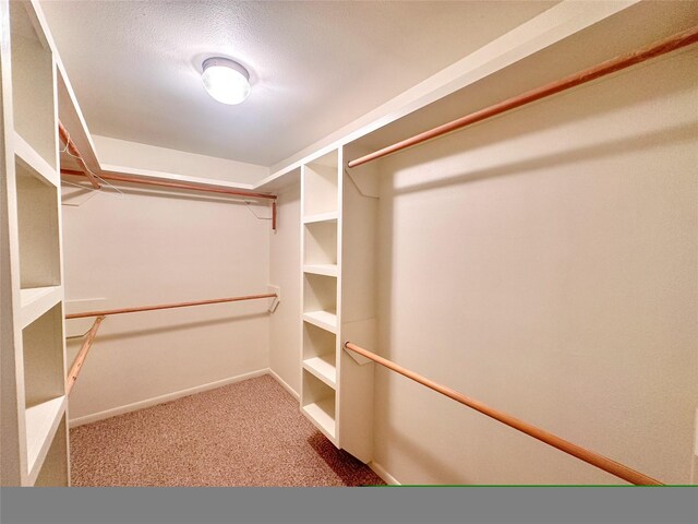 walk in closet featuring carpet flooring