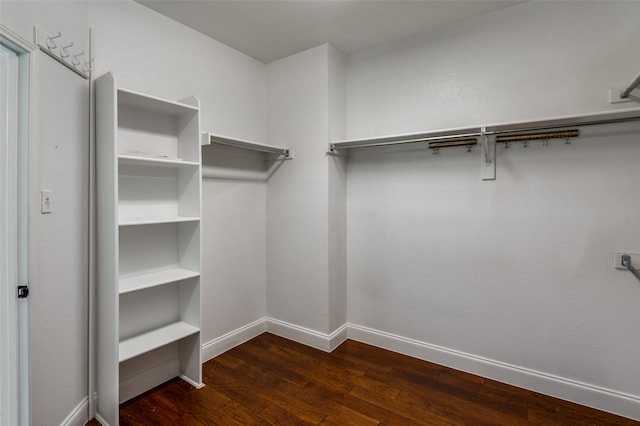 spacious closet featuring dark hardwood / wood-style flooring