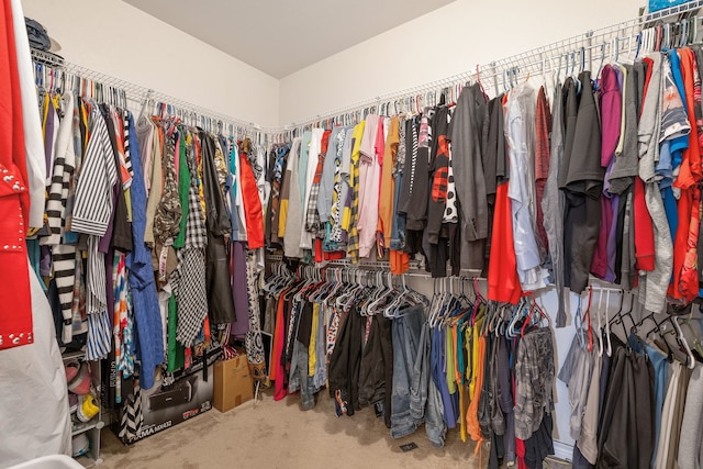 walk in closet featuring carpet floors