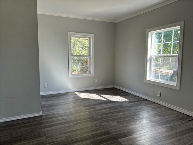 spare room with dark hardwood / wood-style floors and ornamental molding