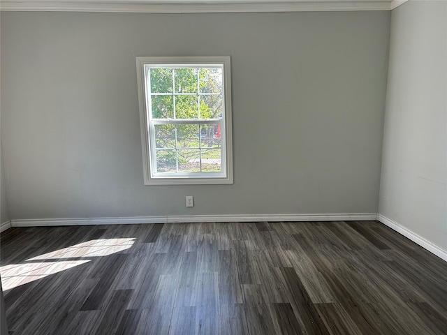 spare room featuring dark hardwood / wood-style floors and ornamental molding