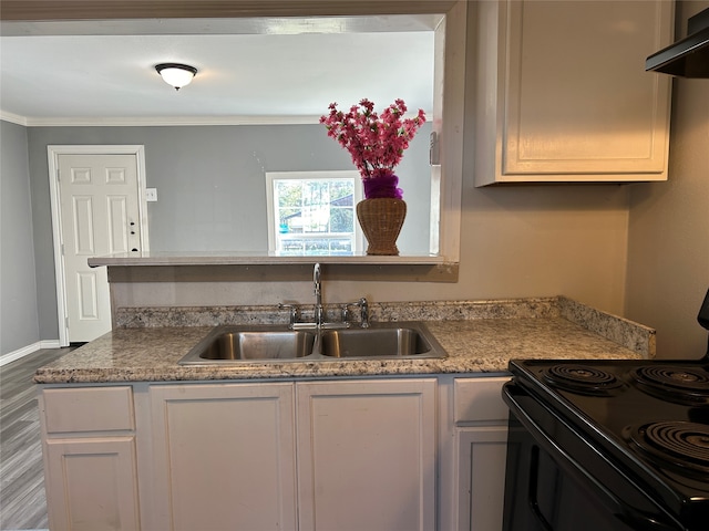 kitchen with sink, black electric range, wood-type flooring, exhaust hood, and ornamental molding