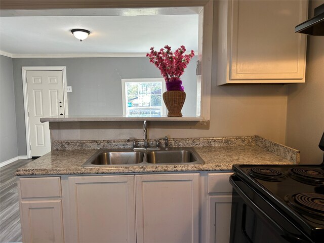 kitchen with sink, black electric range, wood-type flooring, exhaust hood, and ornamental molding