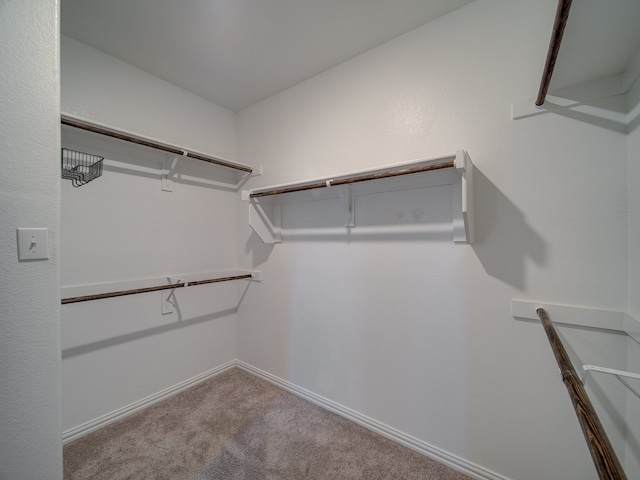 spacious closet with light carpet