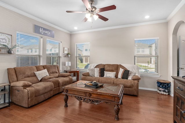 living room featuring hardwood / wood-style flooring, plenty of natural light, ornamental molding, and ceiling fan