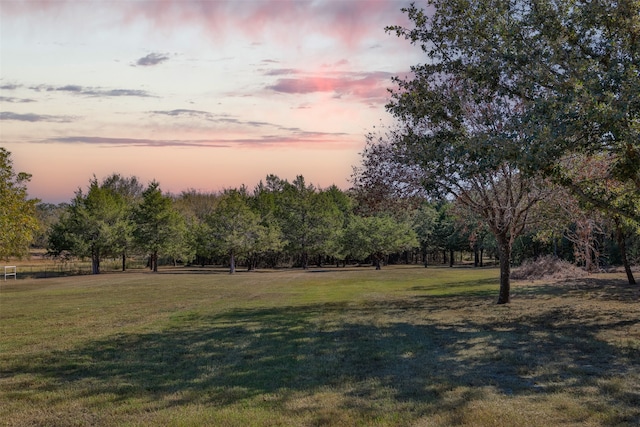 view of yard at dusk