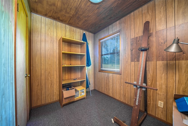 exercise room with wood walls, wooden ceiling, and dark carpet