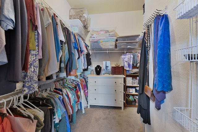 walk in closet featuring carpet