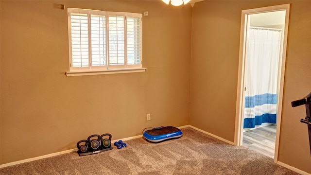 exercise room featuring carpet