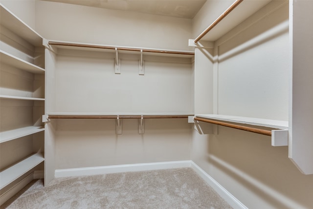 walk in closet featuring light carpet