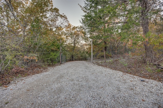 1347 Wild Rd, Van Alstyne, TX 75495 - view of road featuring a forest view