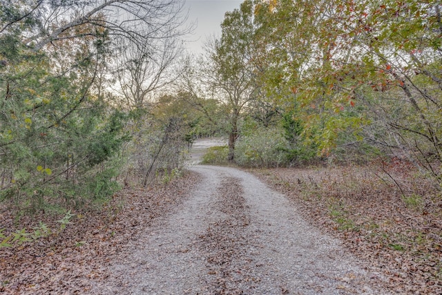 1347 Wild Rd, Van Alstyne, TX 75495 - view of road with a view of trees