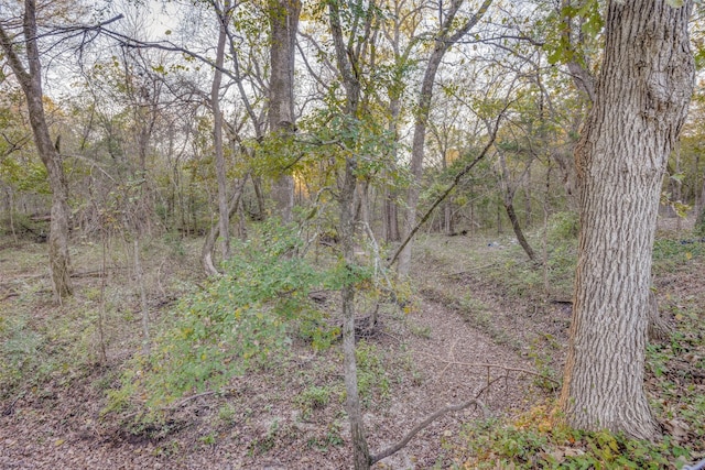 1347 Wild Rd, Van Alstyne, TX 75495 - view of wooded area
