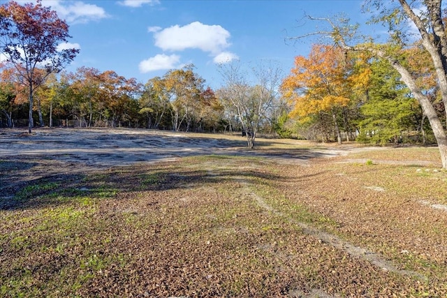 1347 Wild Rd, Van Alstyne, TX 75495 - view of yard