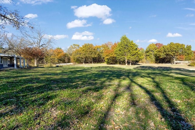 1347 Wild Rd, Van Alstyne, TX 75495 - view of green lawn