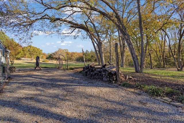 1347 Wild Rd, Van Alstyne, TX 75495 - view of yard