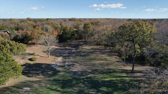 1347 Wild Rd, Van Alstyne, TX 75495 - view of street with a forest view