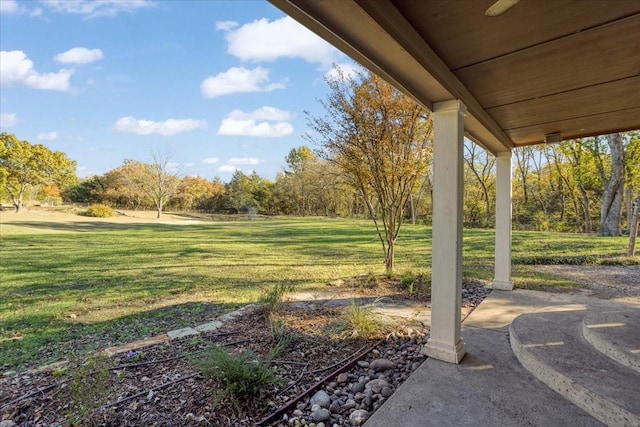 1347 Wild Rd, Van Alstyne, TX 75495 - view of green lawn