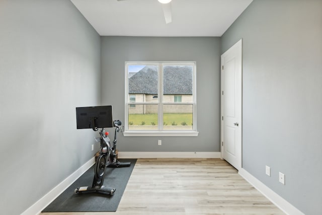 workout area with light hardwood / wood-style flooring and ceiling fan