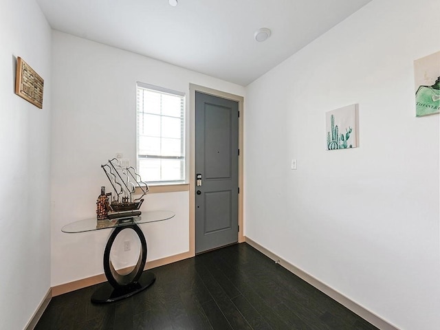 foyer with dark hardwood / wood-style flooring