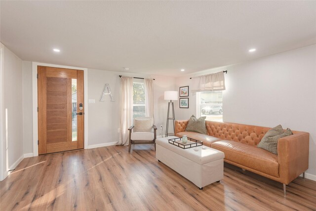 living room featuring light hardwood / wood-style flooring